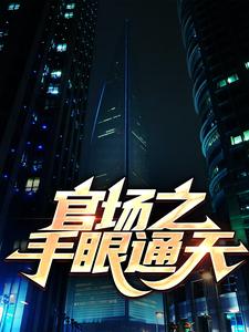 风起官途