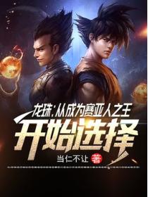 龙珠：从成为赛亚人之王开始选择