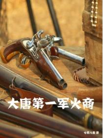 大唐第一军火商