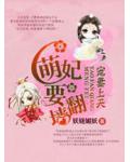 宠妻上天之萌妃要翻墙